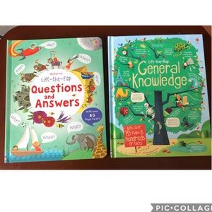Two Usborne Lift the flap books